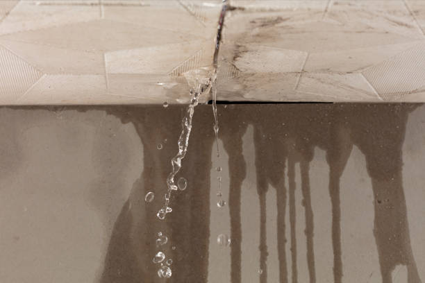 Professional Structural Drying technician working in Creighton, MO